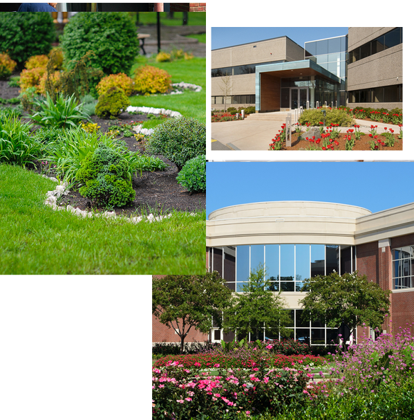 commercial landscaping images